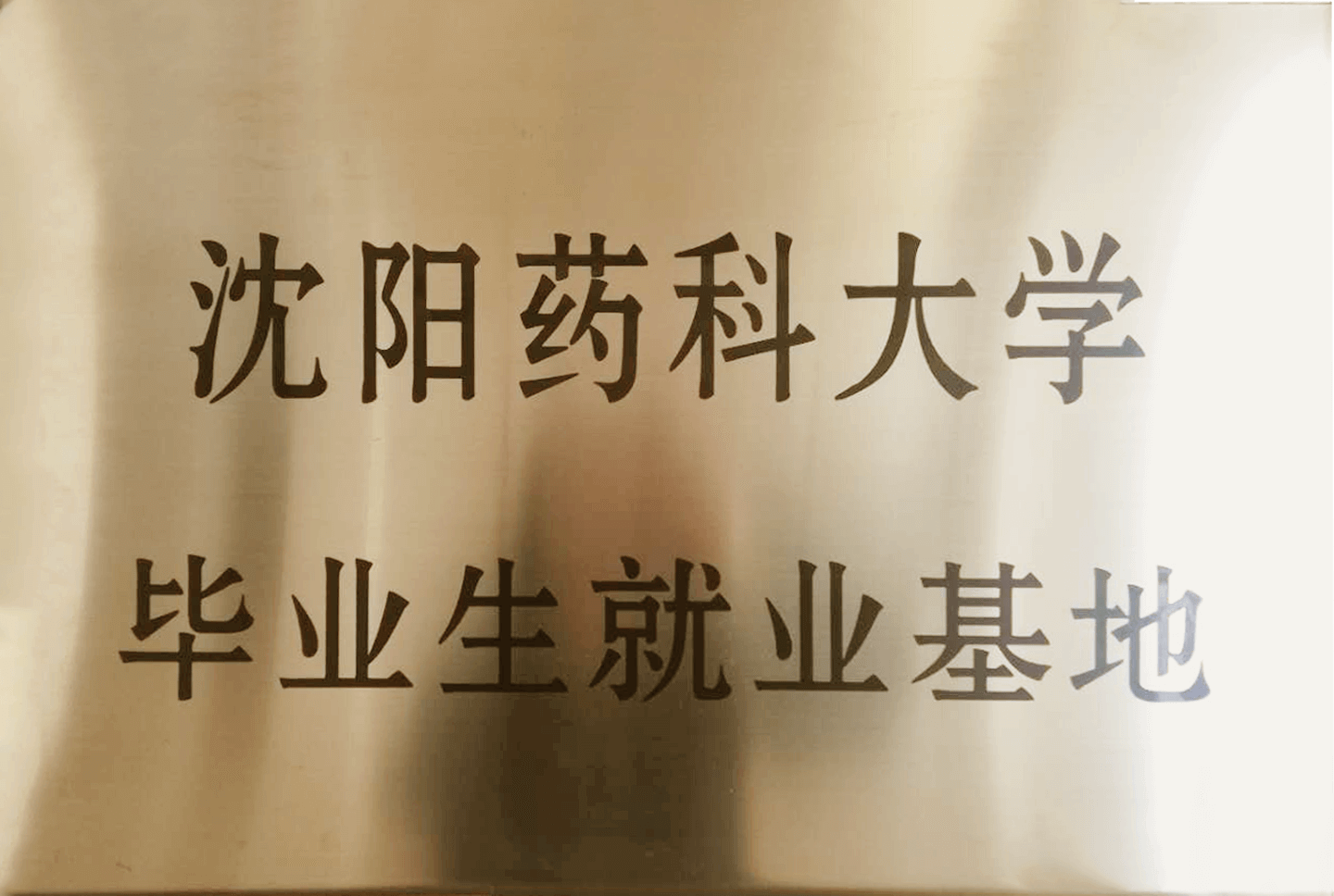 沈陽藥科大學畢業生就業基地